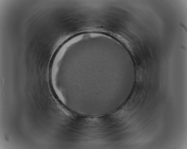 X0000091201231200709061406