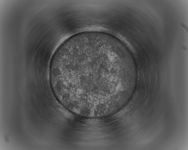 X0000091201232200709061406