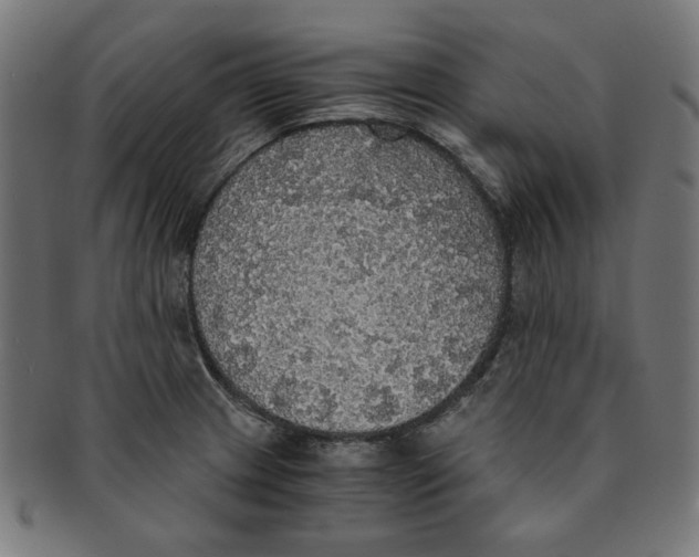 X0000091201233200709061406