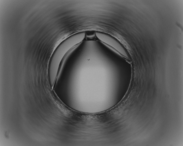 X0000091201234200709061406