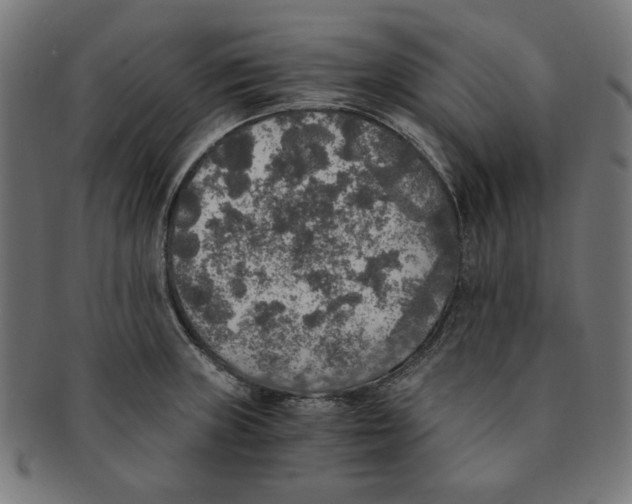 X0000091201235200709061406