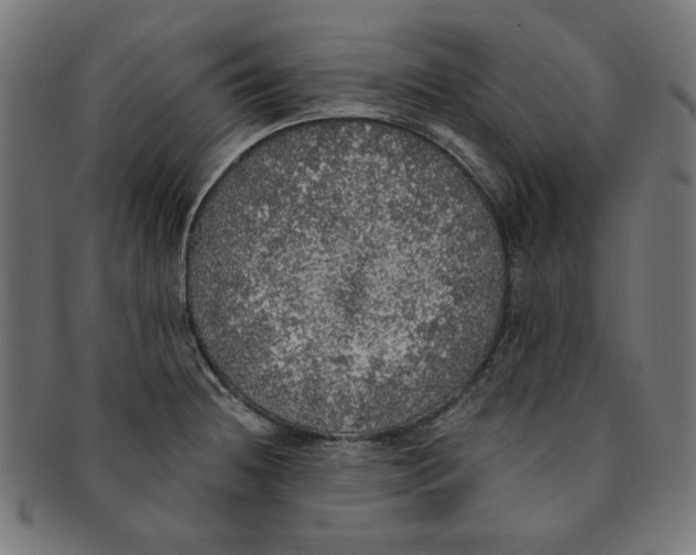 X0000091201236200709061407
