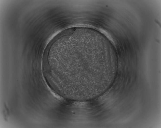 X0000091201237200709061407