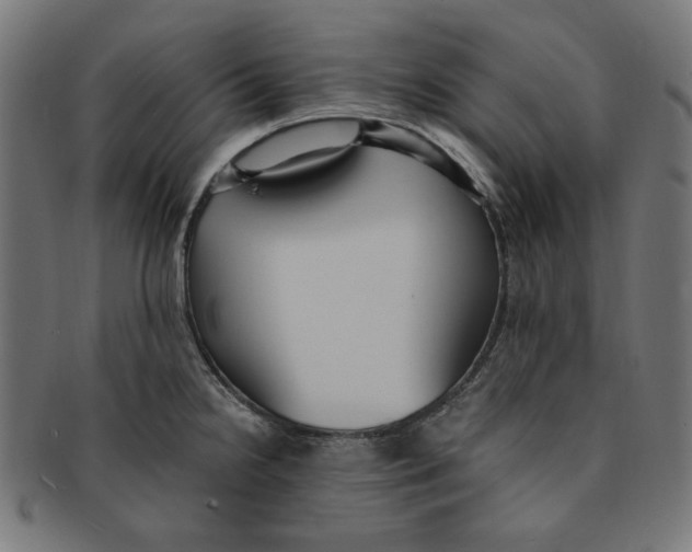 X0000091201238200709061407