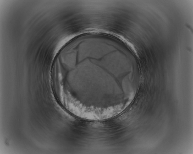 X0000091201239200709061407