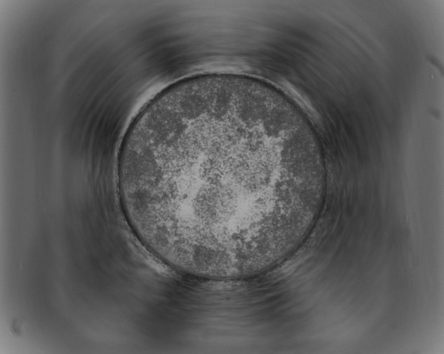 X0000091201240200709061407