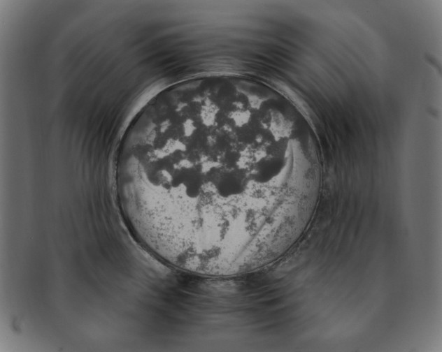 X0000091201243200709061407