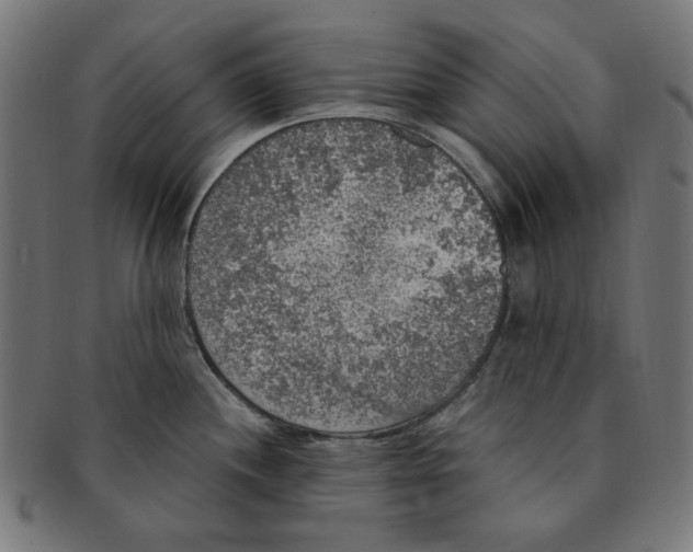 X0000091201244200709061407