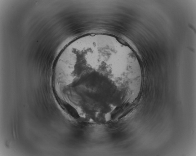 X0000091201245200709061407