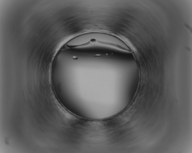 X0000091201246200709061407
