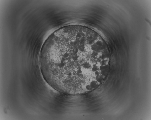 X0000091201247200709061407