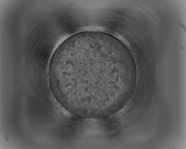 X0000091201248200709061407
