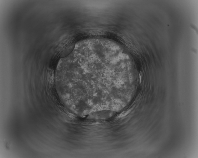 X0000091201251200709061406