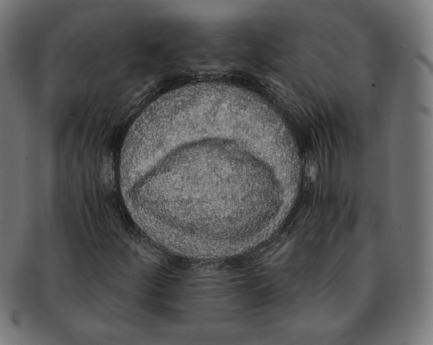 X0000091201252200709061406
