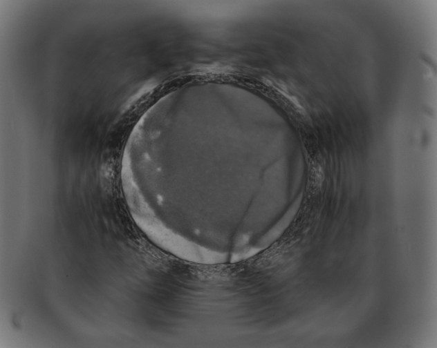 X0000091201254200709061406