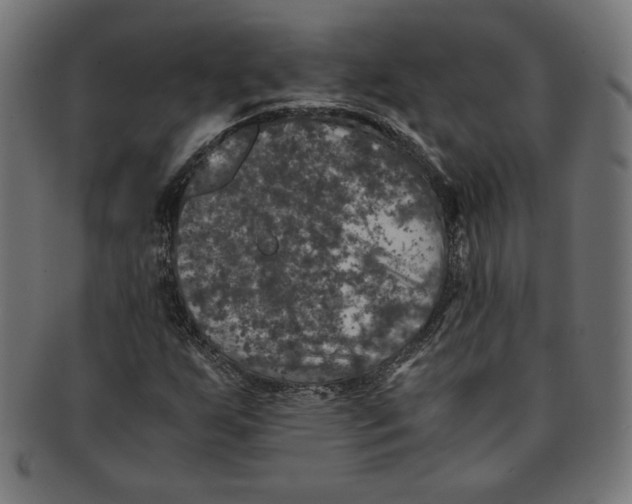 X0000091201255200709061406