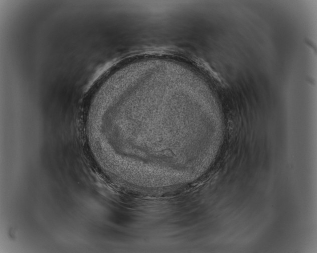 X0000091201256200709061406