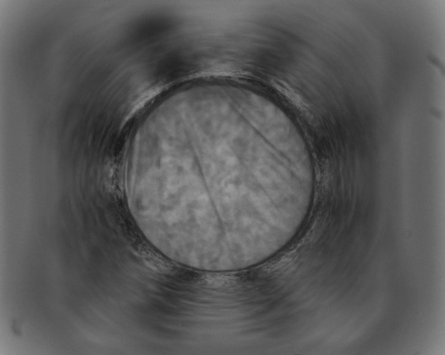 X0000091201258200709061406
