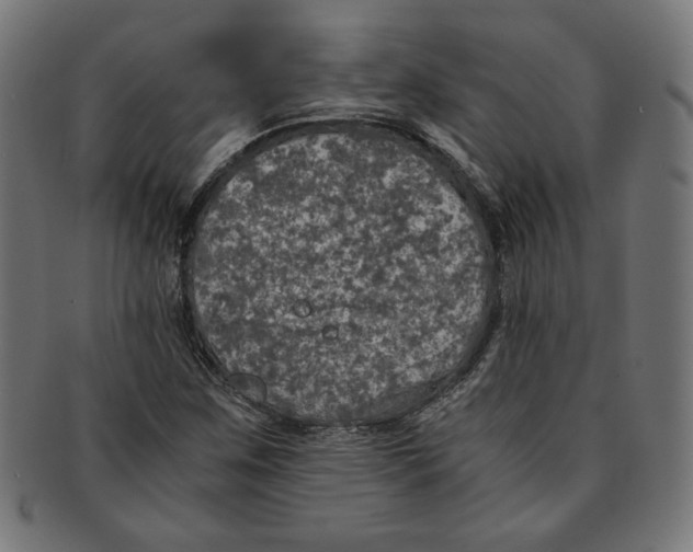 X0000091201259200709061406