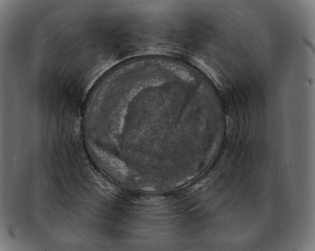 X0000091201260200709061406
