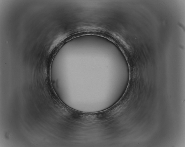 X0000091201261200709061406