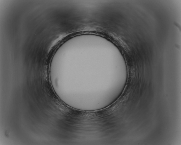 X0000091201262200709061406