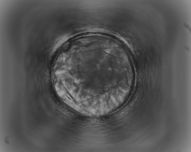 X0000091201263200709061406