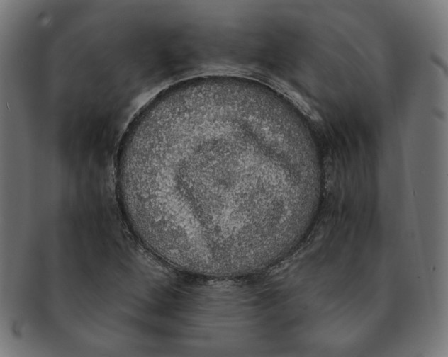 X0000091201264200709061406