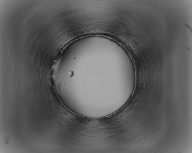X0000091201265200709061406