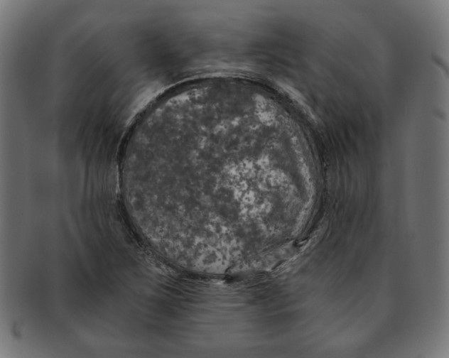 X0000091201267200709061406