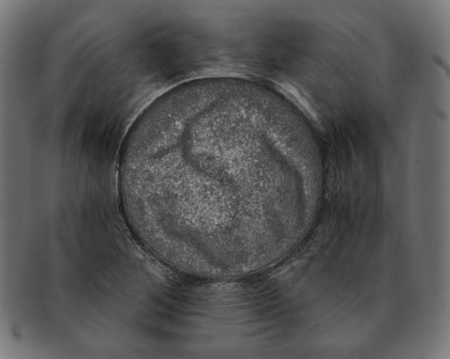X0000091201268200709061406