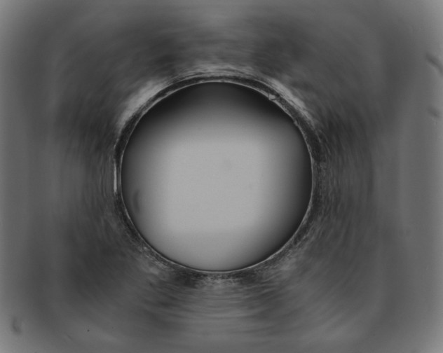 X0000091201269200709061406
