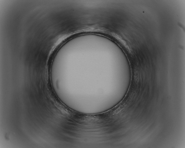 X0000091201270200709061406