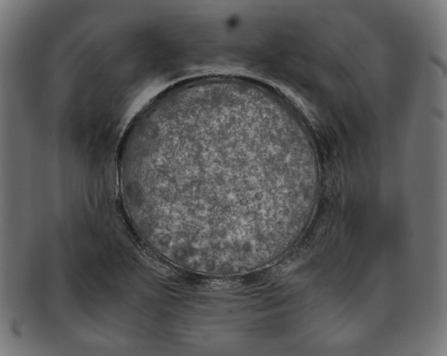 X0000091201271200709061406