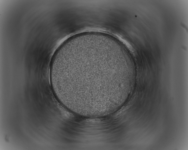 X0000091201272200709061406