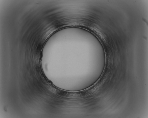 X0000091201273200709061406