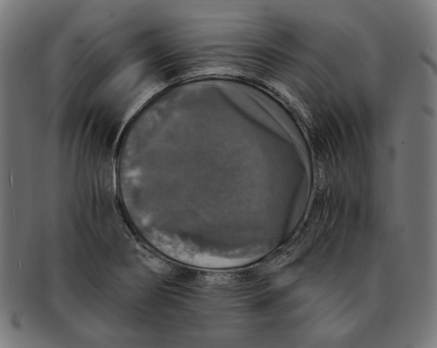X0000091201274200709061406
