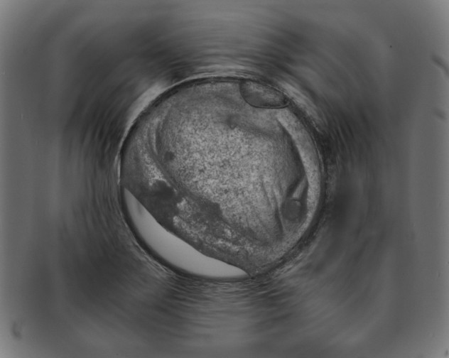 X0000091201275200709061406