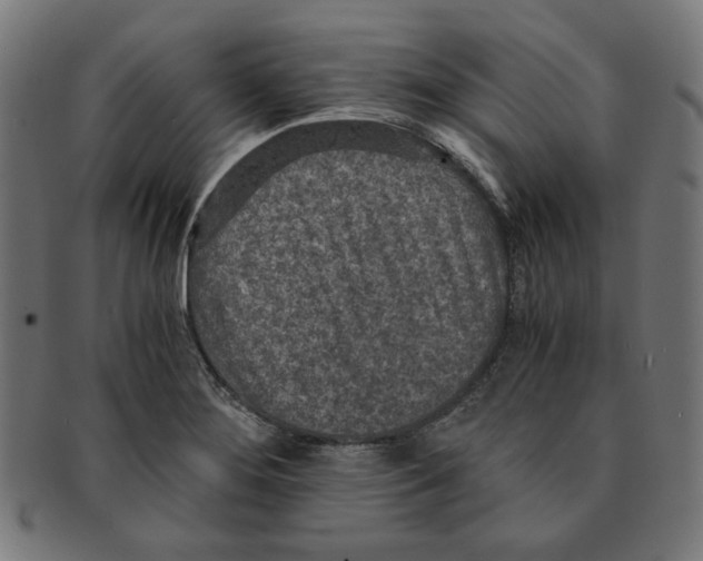 X0000091201276200709061406