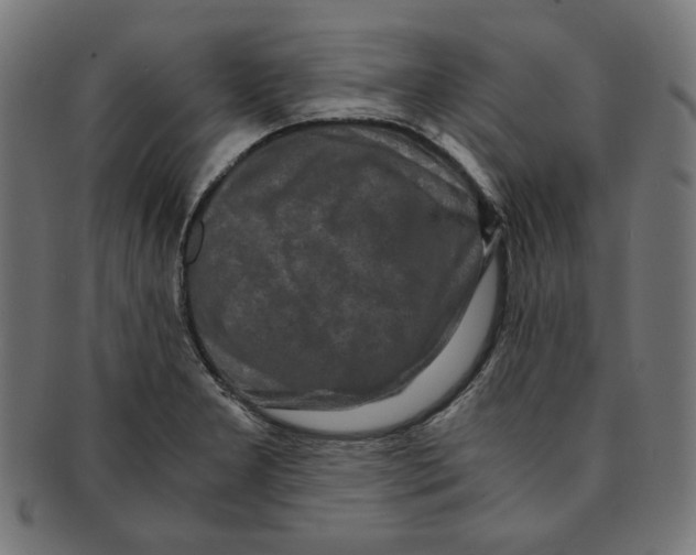X0000091201277200709061406
