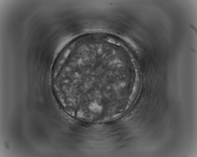 X0000091201279200709061406