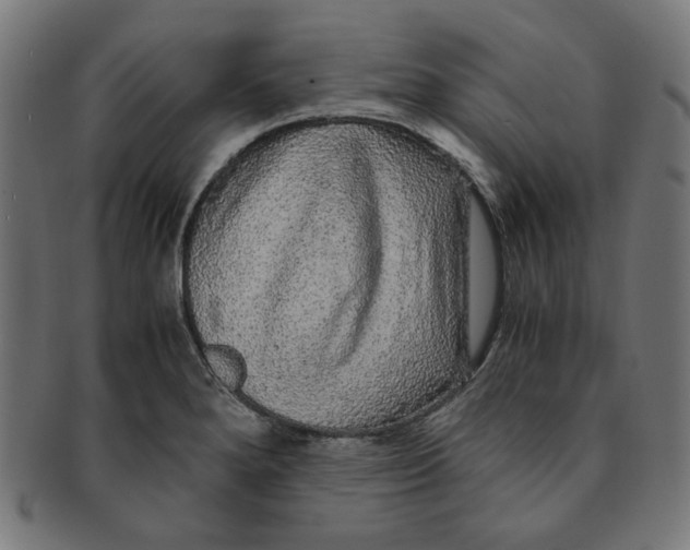 X0000091201280200709061406