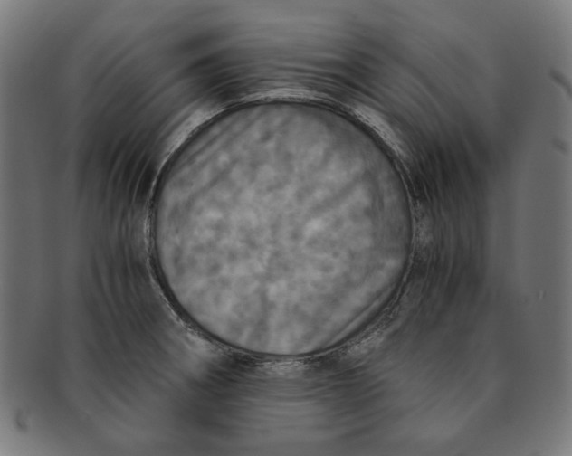 X0000091201282200709061406