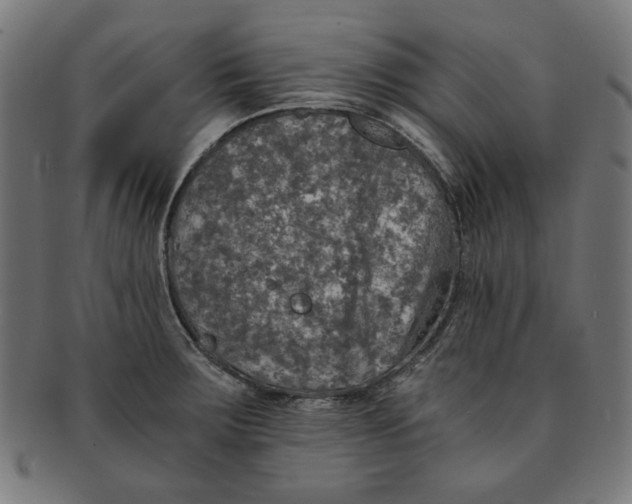 X0000091201283200709061406