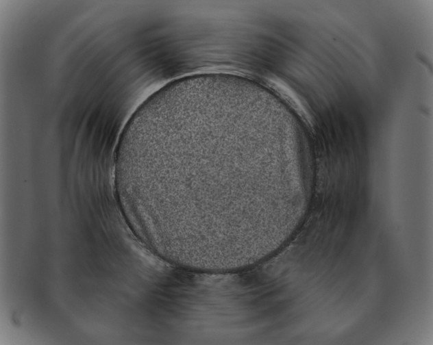 X0000091201284200709061406