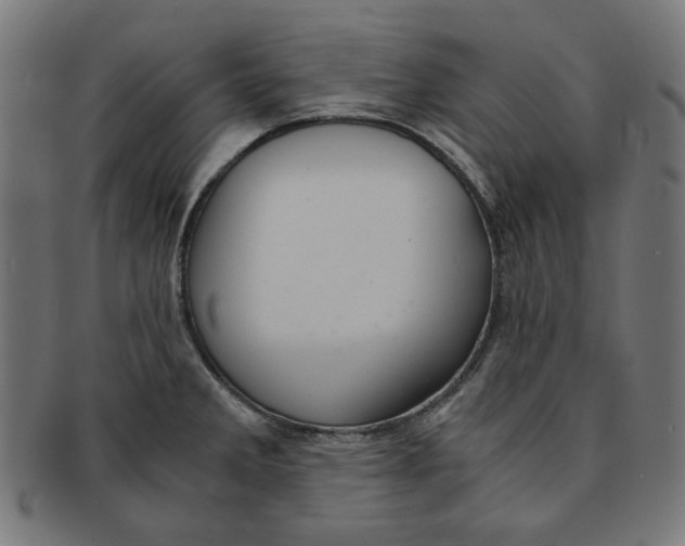 X0000091201285200709061406