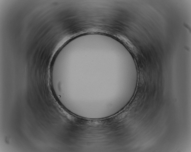 X0000091201286200709061406