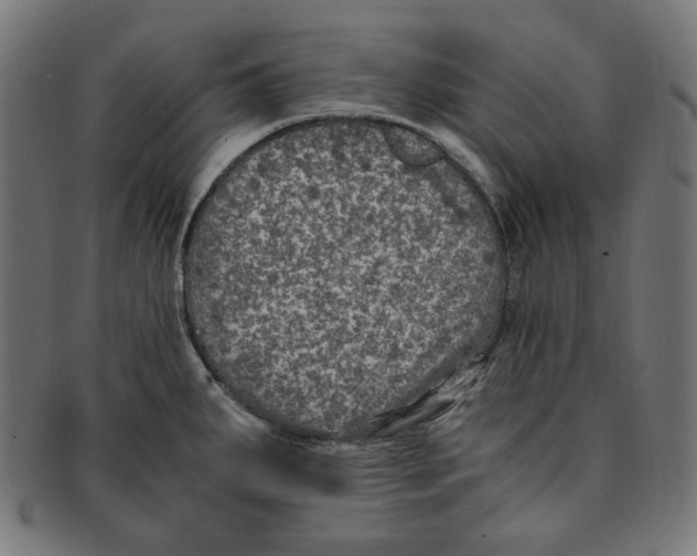 X0000091201287200709061406