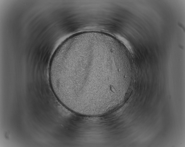 X0000091201288200709061406