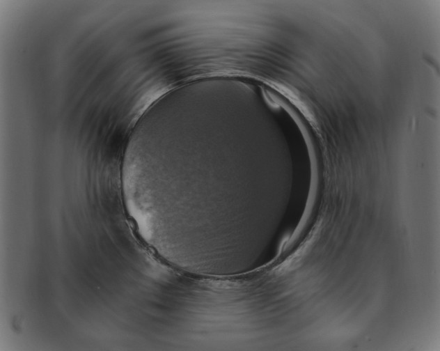 X0000091201289200709061406